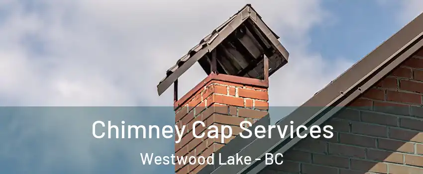  Chimney Cap Services Westwood Lake - BC