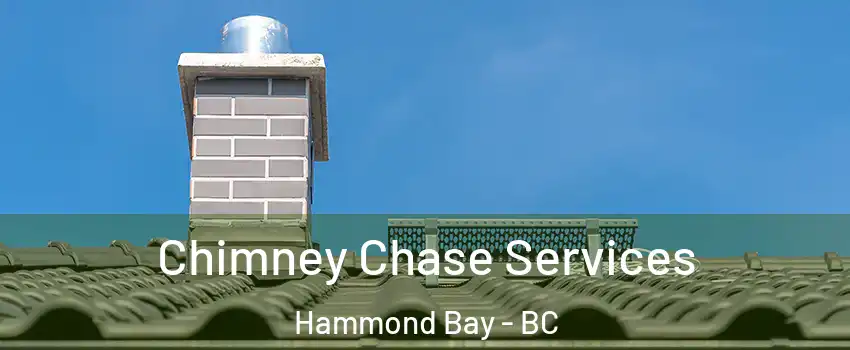  Chimney Chase Services Hammond Bay - BC