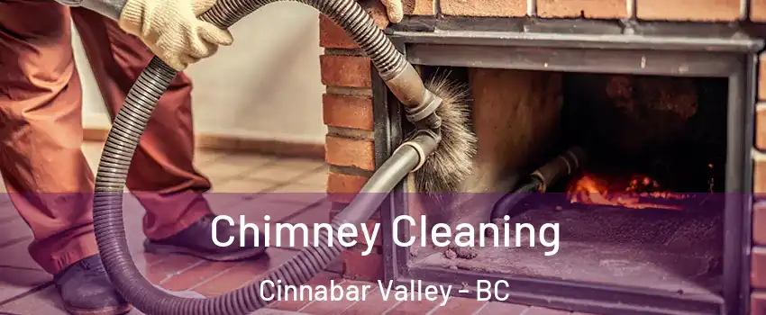  Chimney Cleaning Cinnabar Valley - BC