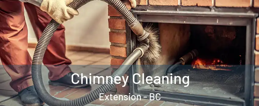  Chimney Cleaning Extension - BC