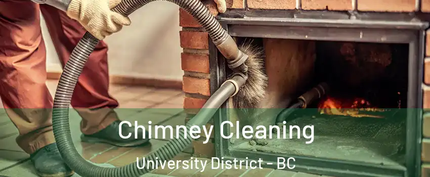  Chimney Cleaning University District - BC