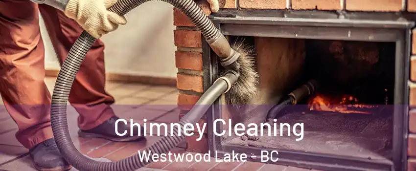  Chimney Cleaning Westwood Lake - BC