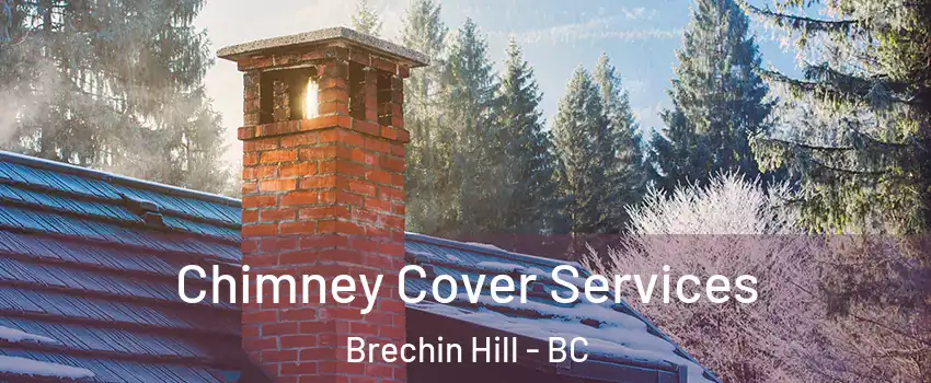  Chimney Cover Services Brechin Hill - BC
