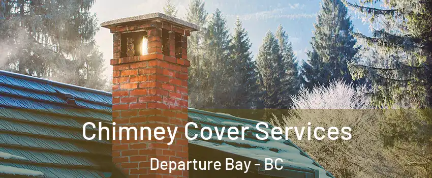  Chimney Cover Services Departure Bay - BC