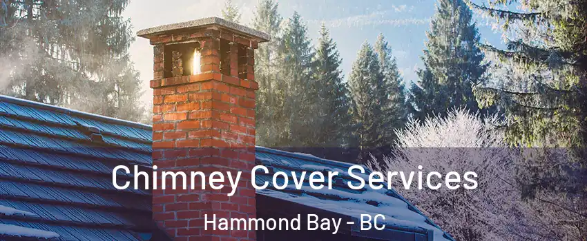  Chimney Cover Services Hammond Bay - BC