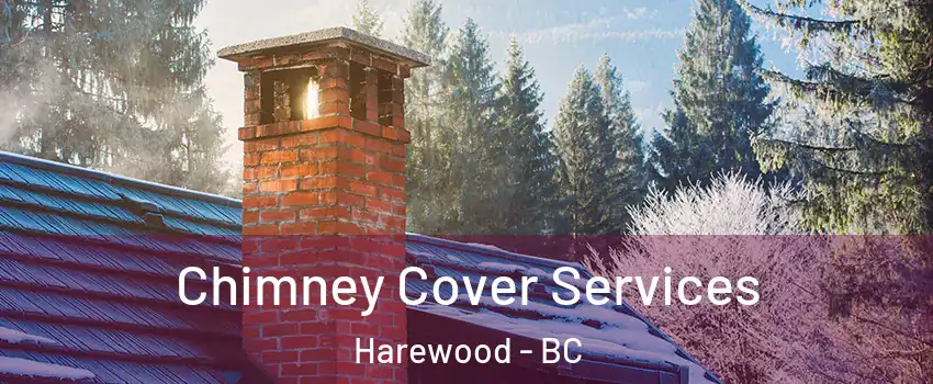  Chimney Cover Services Harewood - BC