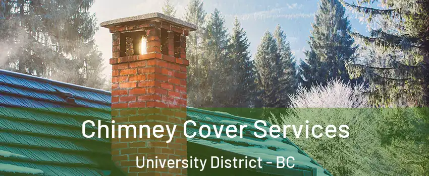  Chimney Cover Services University District - BC