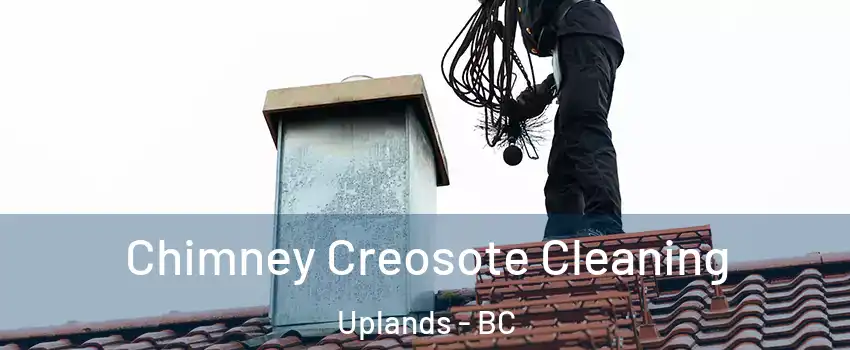  Chimney Creosote Cleaning Uplands - BC