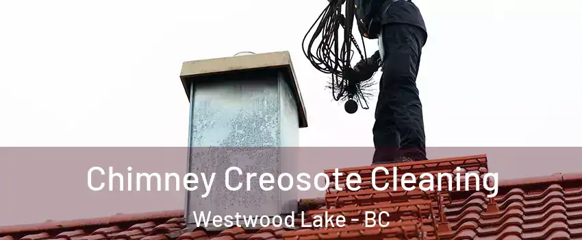  Chimney Creosote Cleaning Westwood Lake - BC