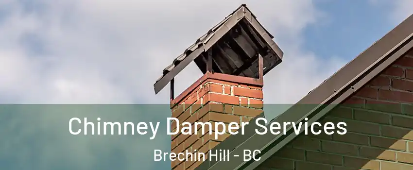  Chimney Damper Services Brechin Hill - BC