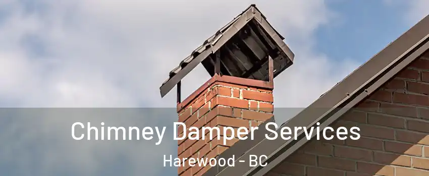  Chimney Damper Services Harewood - BC