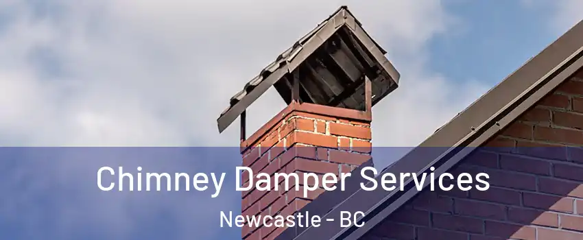  Chimney Damper Services Newcastle - BC