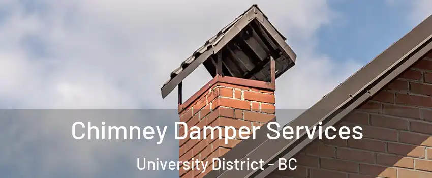  Chimney Damper Services University District - BC