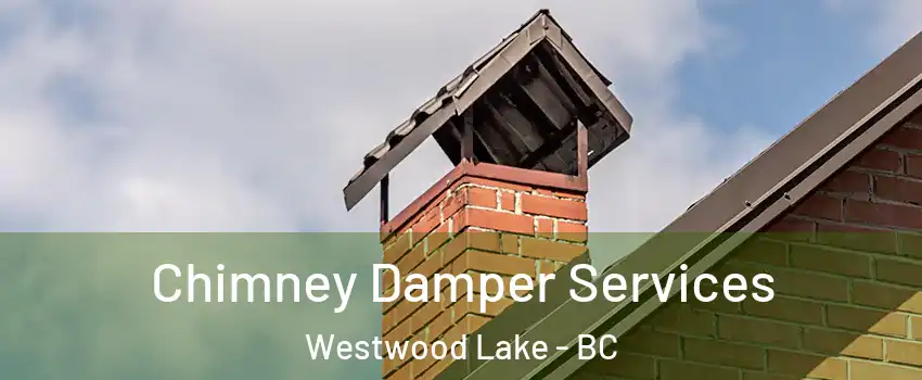  Chimney Damper Services Westwood Lake - BC