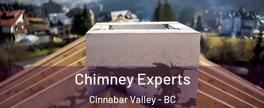 Chimney Experts Cinnabar Valley - BC
