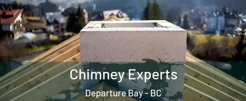 Chimney Experts Departure Bay - BC