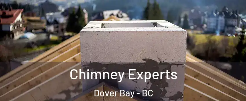 Chimney Experts Dover Bay - BC