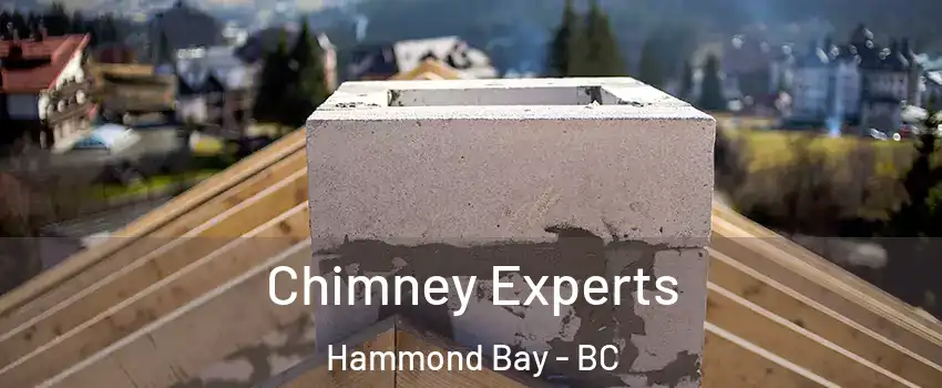 Chimney Experts Hammond Bay - BC