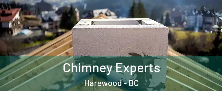 Chimney Experts Harewood - BC