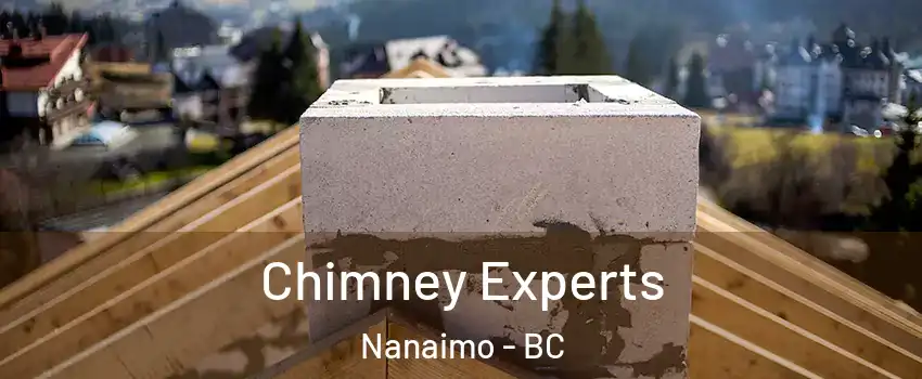 Chimney Experts Nanaimo - BC