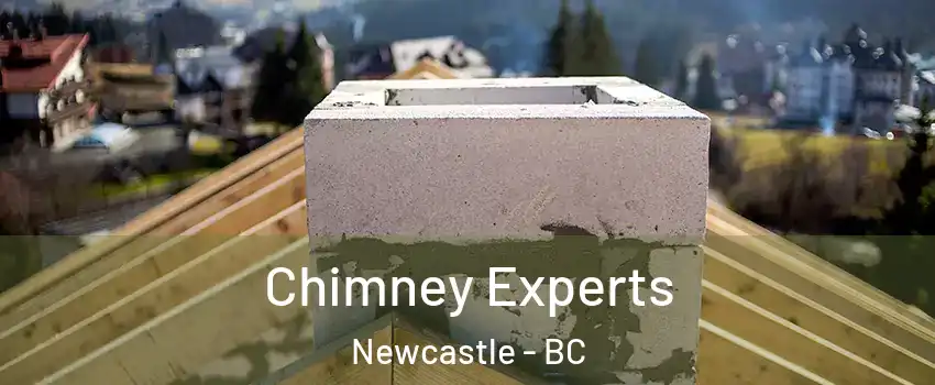 Chimney Experts Newcastle - BC