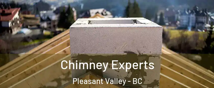 Chimney Experts Pleasant Valley - BC