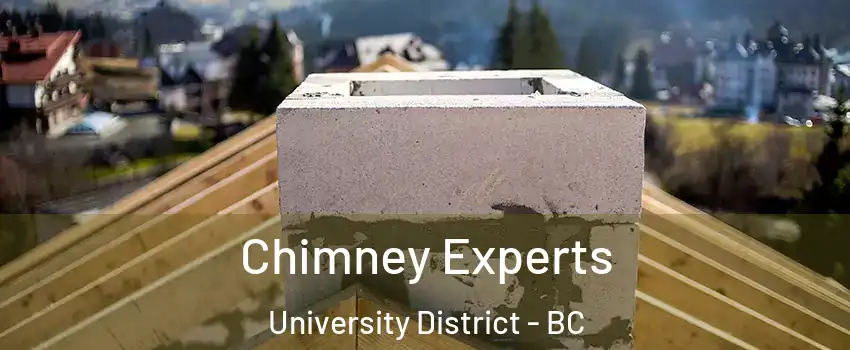 Chimney Experts University District - BC