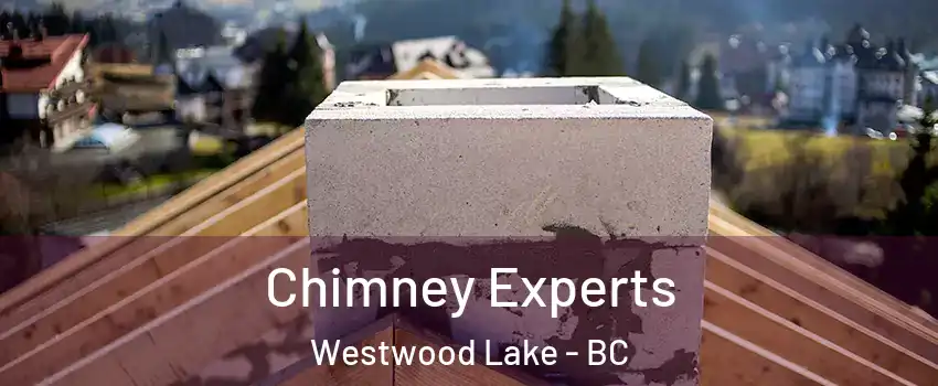 Chimney Experts Westwood Lake - BC