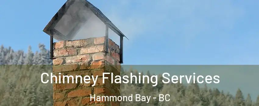 Chimney Flashing Services Hammond Bay - BC