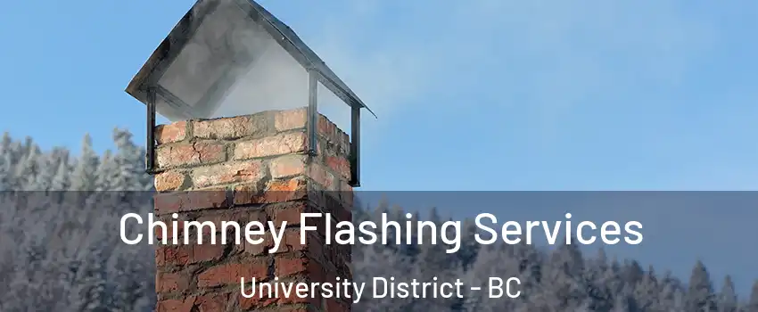 Chimney Flashing Services University District - BC