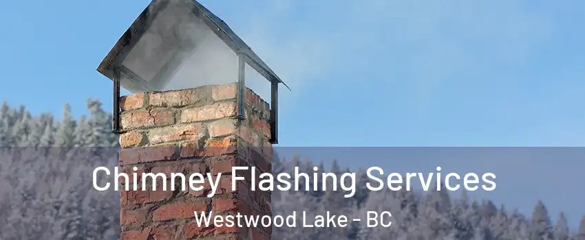 Chimney Flashing Services Westwood Lake - BC