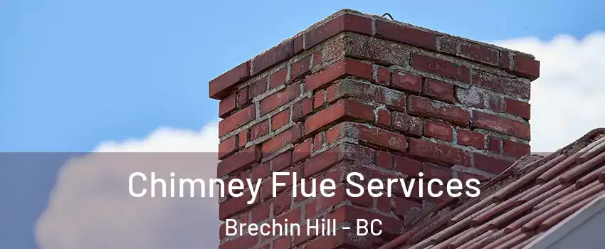  Chimney Flue Services Brechin Hill - BC