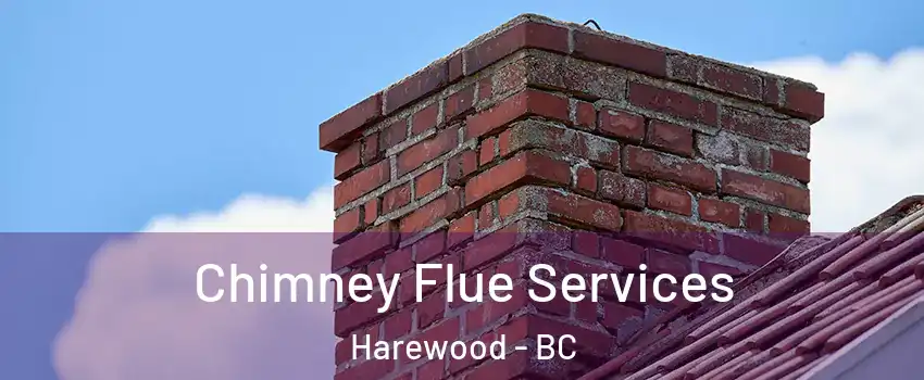  Chimney Flue Services Harewood - BC