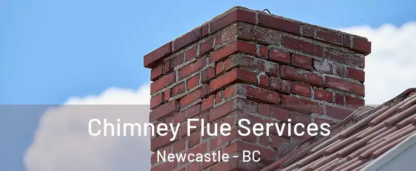  Chimney Flue Services Newcastle - BC