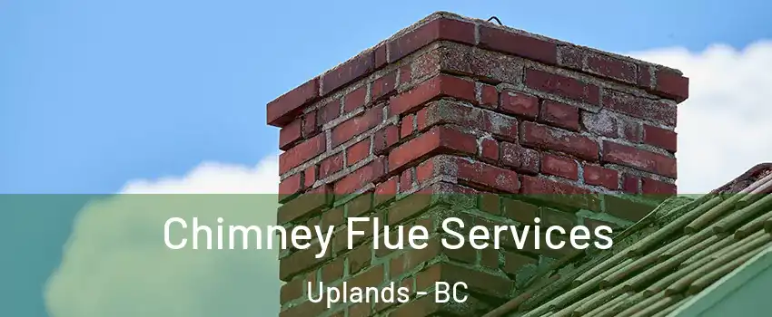  Chimney Flue Services Uplands - BC