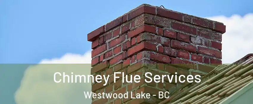  Chimney Flue Services Westwood Lake - BC
