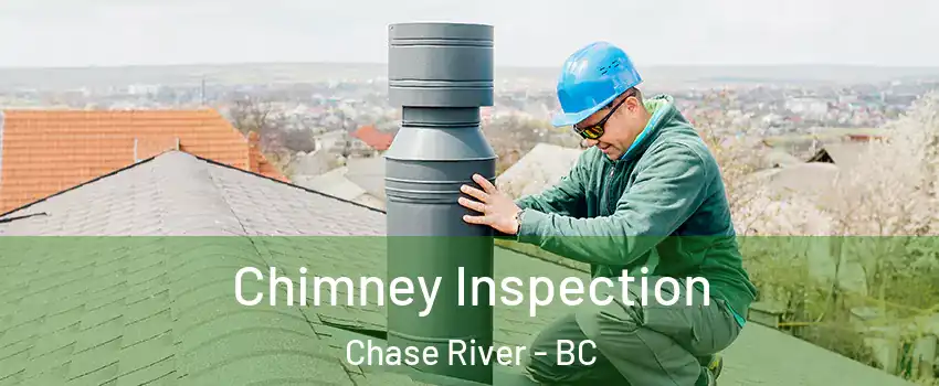  Chimney Inspection Chase River - BC