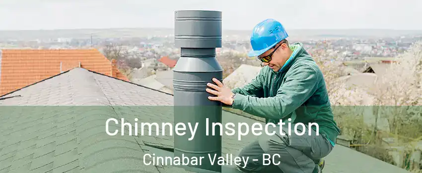  Chimney Inspection Cinnabar Valley - BC