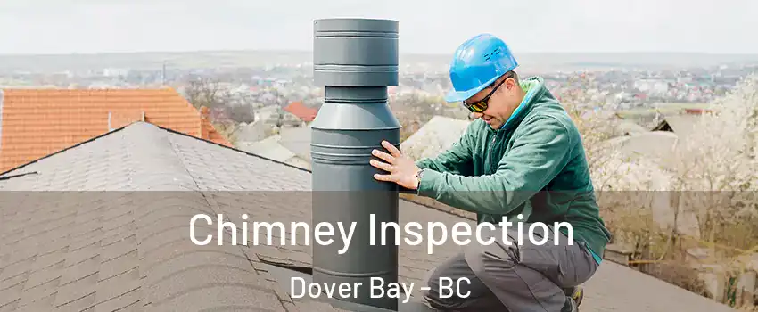 Chimney Inspection Dover Bay - BC