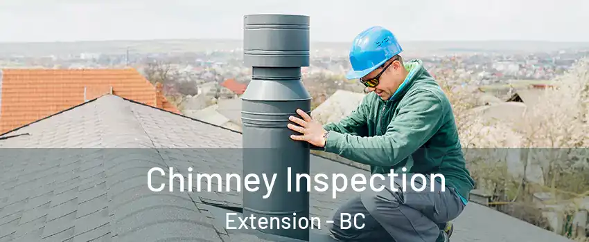  Chimney Inspection Extension - BC