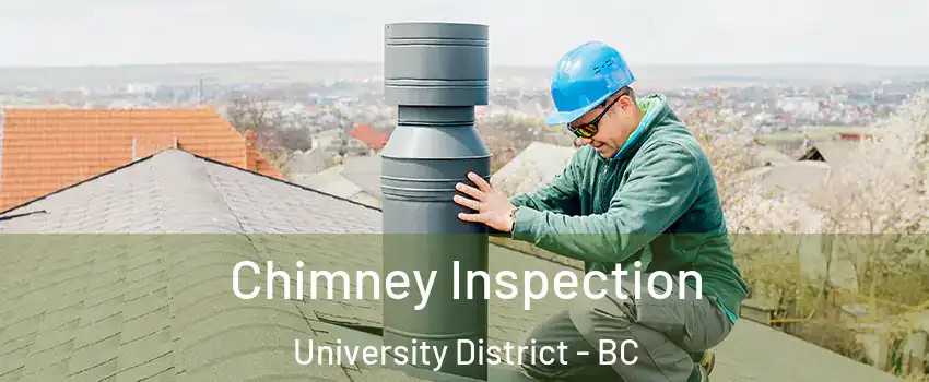  Chimney Inspection University District - BC