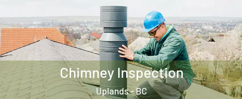 Chimney Inspection Uplands - BC