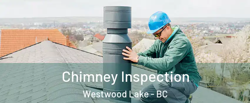  Chimney Inspection Westwood Lake - BC
