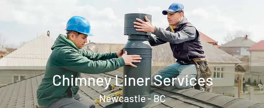  Chimney Liner Services Newcastle - BC