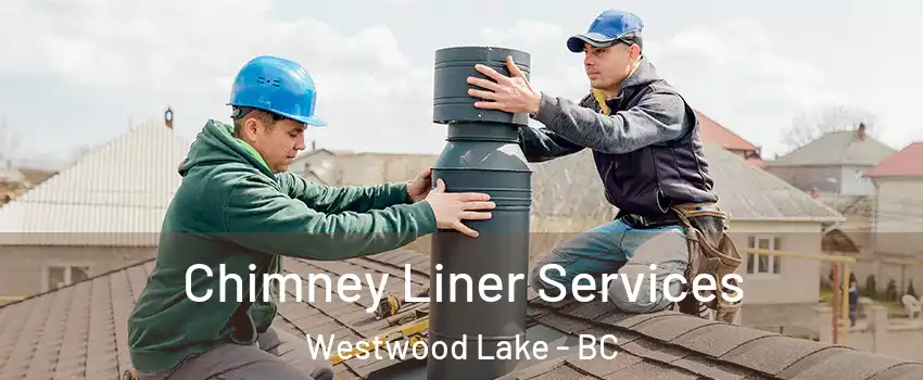  Chimney Liner Services Westwood Lake - BC