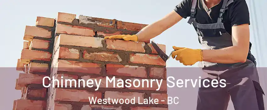  Chimney Masonry Services Westwood Lake - BC