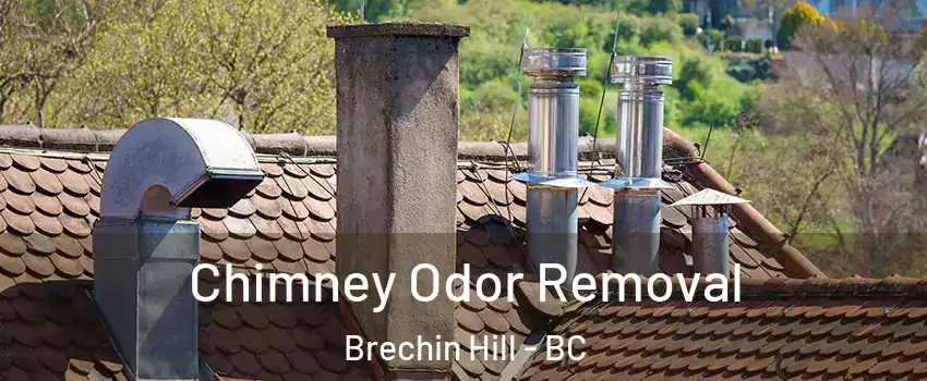  Chimney Odor Removal Brechin Hill - BC