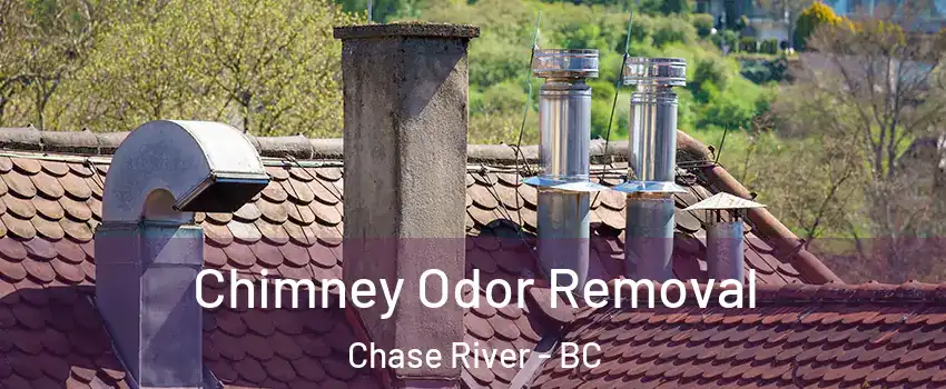  Chimney Odor Removal Chase River - BC