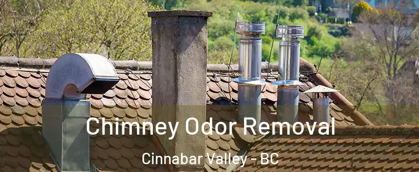  Chimney Odor Removal Cinnabar Valley - BC