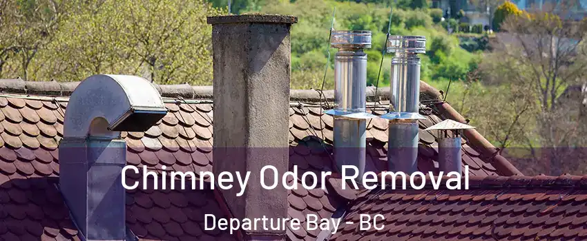  Chimney Odor Removal Departure Bay - BC